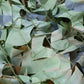 Outdoor Camouflage Netting